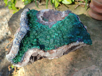 Natural Ball Malachite On Quartz Matrix Specimens x 1 From Mindigi Mine, Congo