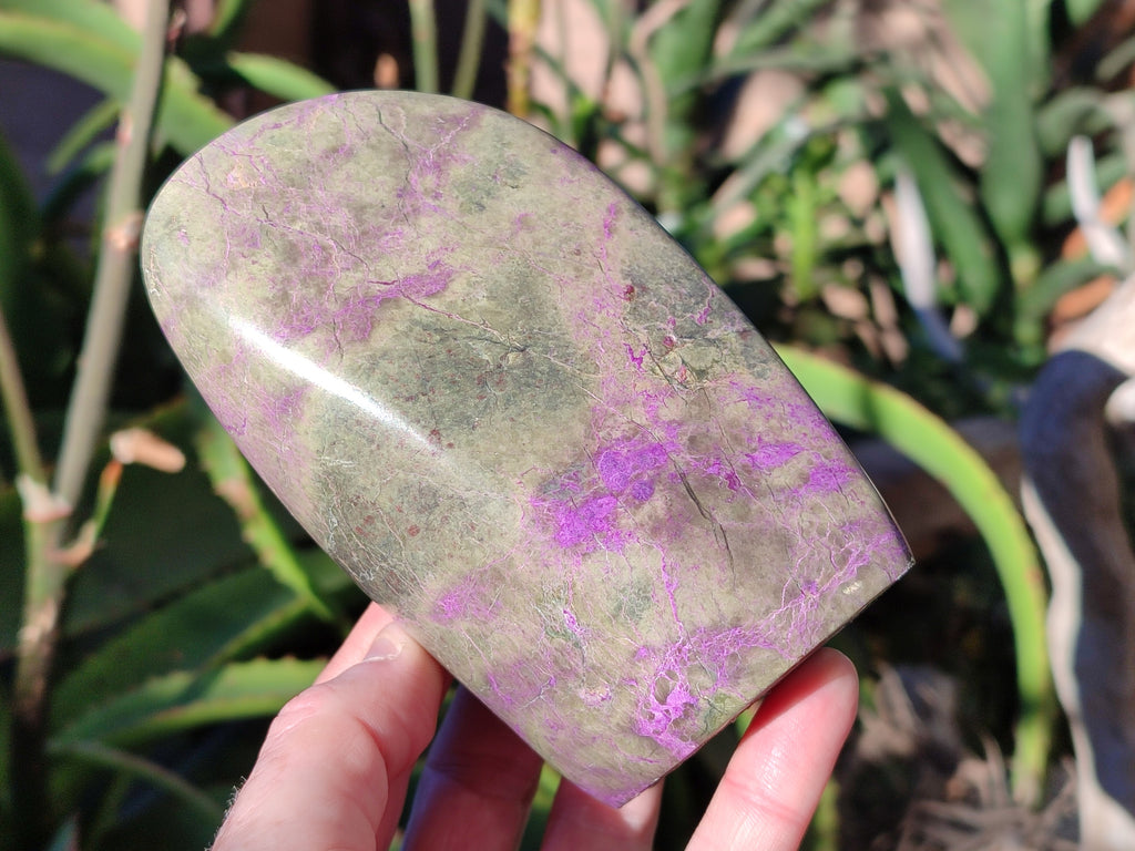 Polished Stichtite Standing Free Forms x 2 From Barberton, South Africa - Toprock Gemstones and Minerals 