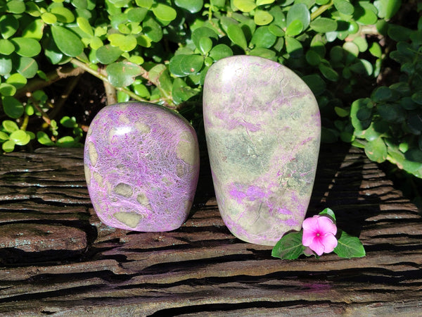 Polished Stichtite Standing Free Forms x 2 From Barberton, South Africa - Toprock Gemstones and Minerals 