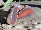 Polished On One Side Red Sashe River Agate Nodules x 12 From Zimbabwe - Toprock Gemstones and Minerals 