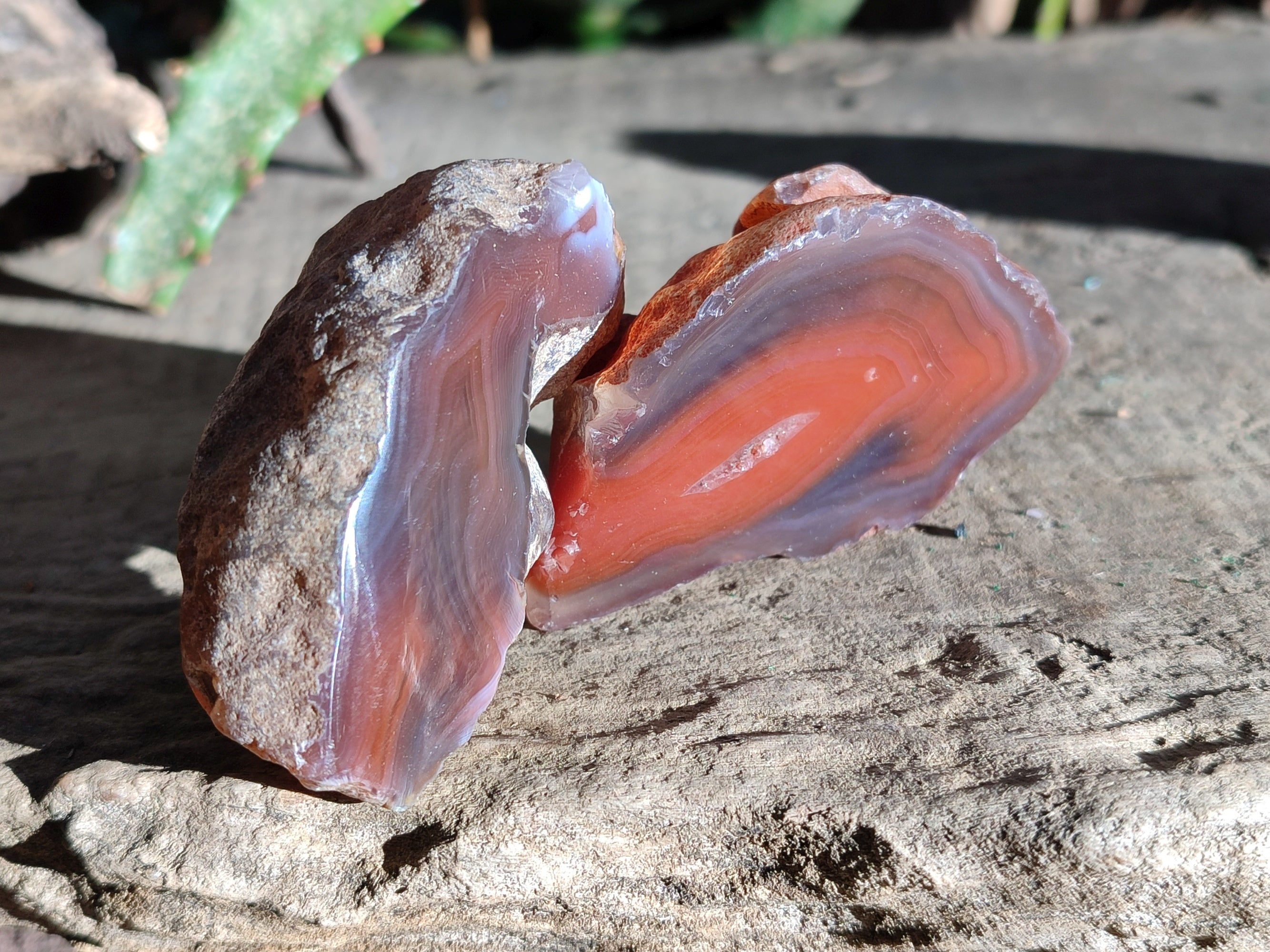 Polished On One Side Red Sashe River Agate Nodules x 12 From Zimbabwe - Toprock Gemstones and Minerals 