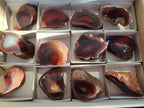 Polished On One Side Red Sashe River Agate Nodules x 12 From Zimbabwe - Toprock Gemstones and Minerals 