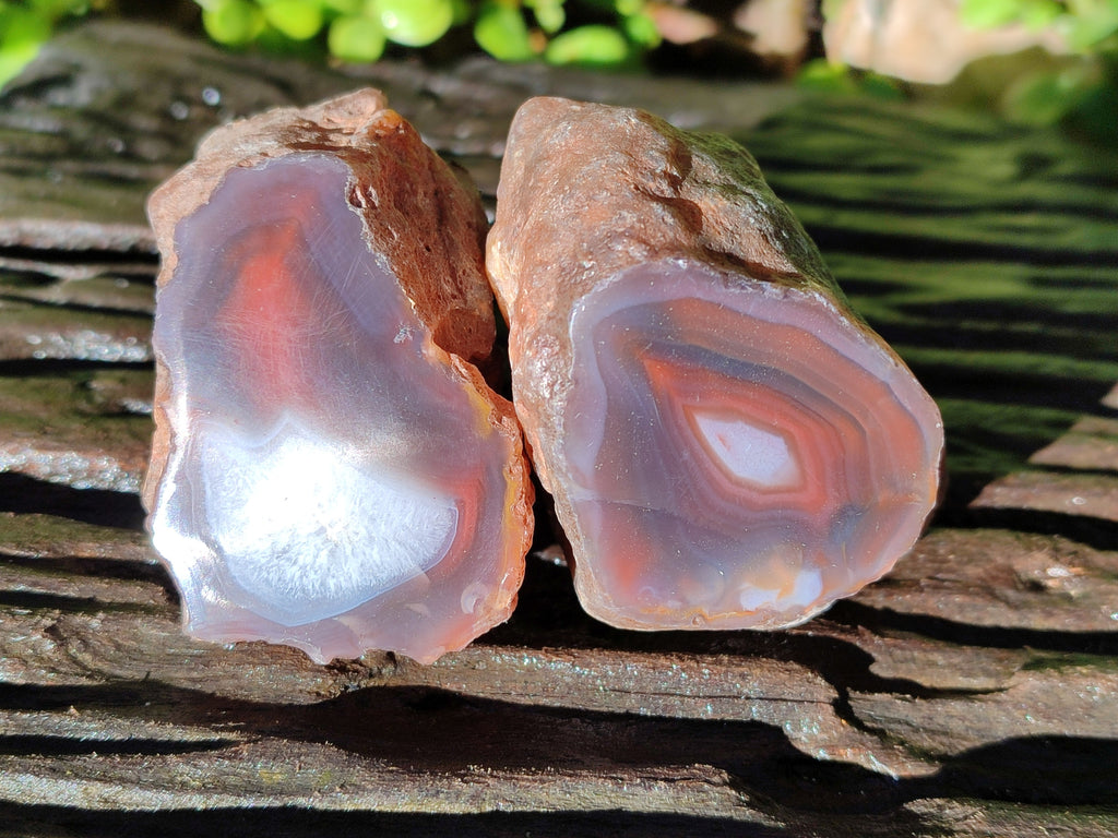 Polished On One Side Red Sashe River Agate Nodules x 12 From Zimbabwe - Toprock Gemstones and Minerals 