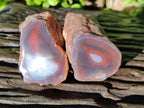 Polished On One Side Red Sashe River Agate Nodules x 12 From Zimbabwe - Toprock Gemstones and Minerals 