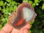 Polished On One Side Red Sashe River Agate Nodules x 12 From Zimbabwe - Toprock Gemstones and Minerals 
