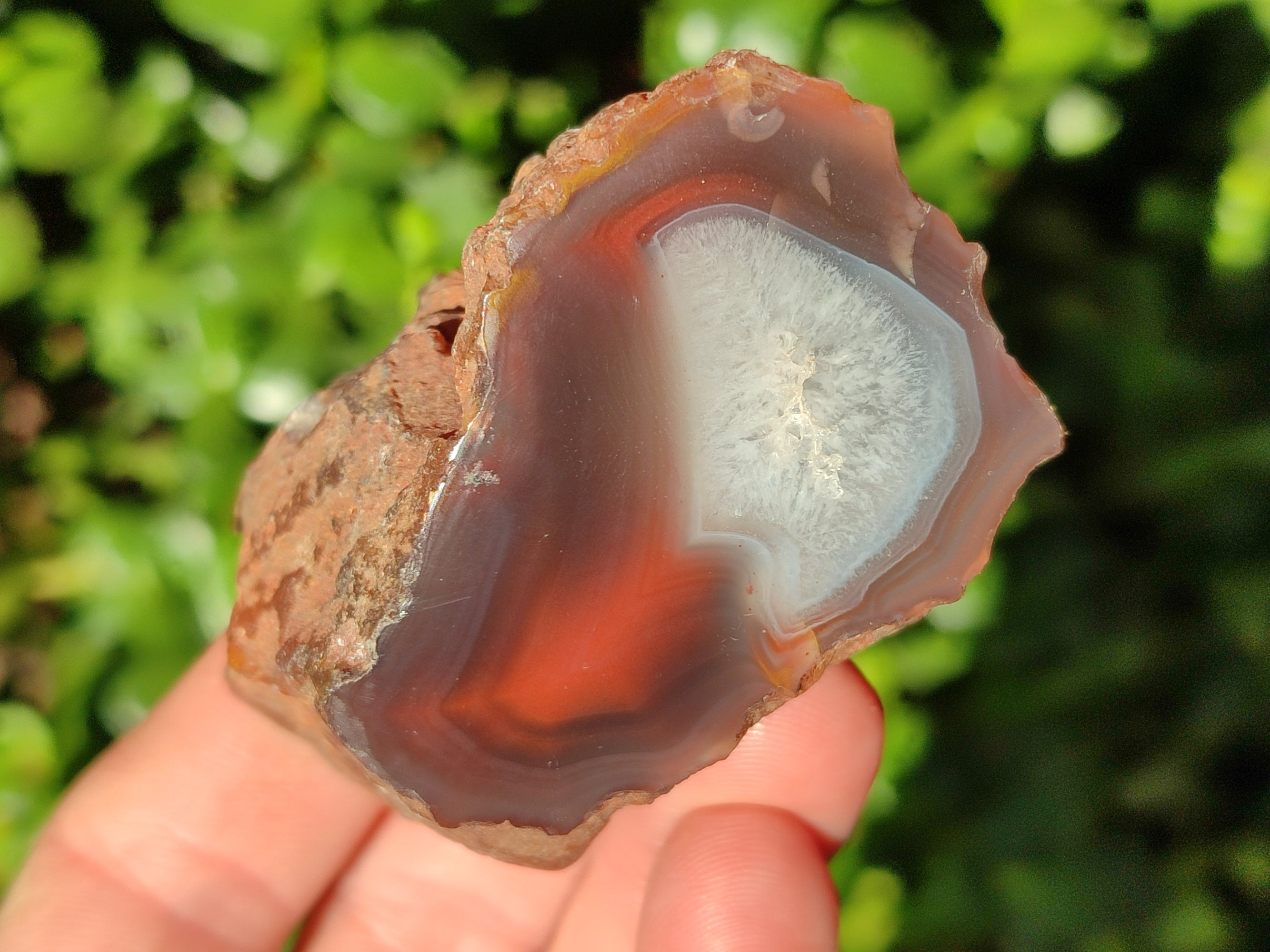 Polished On One Side Red Sashe River Agate Nodules x 12 From Zimbabwe - Toprock Gemstones and Minerals 