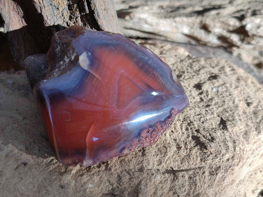 Polished On One Side Red Sashe River Agate Nodules x 12 From Zimbabwe - Toprock Gemstones and Minerals 