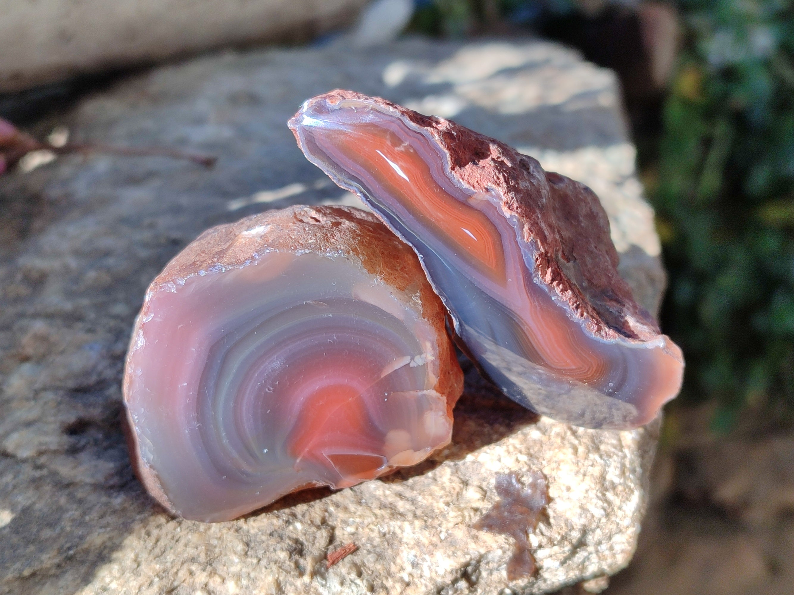 Polished On One Side Red Sashe River Agate Nodules x 12 From Zimbabwe - Toprock Gemstones and Minerals 