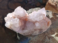 Natural Cactus Flower Amethyst Spirit Clusters x 4 From South Africa