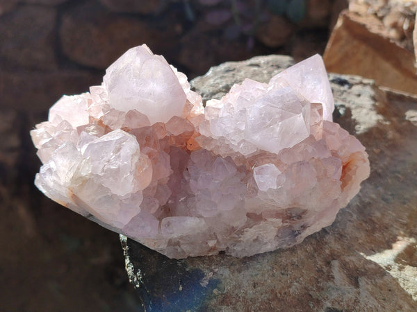 Natural Cactus Flower Amethyst Spirit Clusters x 4 From South Africa - Toprock Gemstones and Minerals 