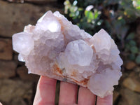 Natural Cactus Flower Amethyst Spirit Clusters x 4 From South Africa