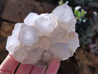 Natural Cactus Flower Amethyst Spirit Clusters x 4 From South Africa