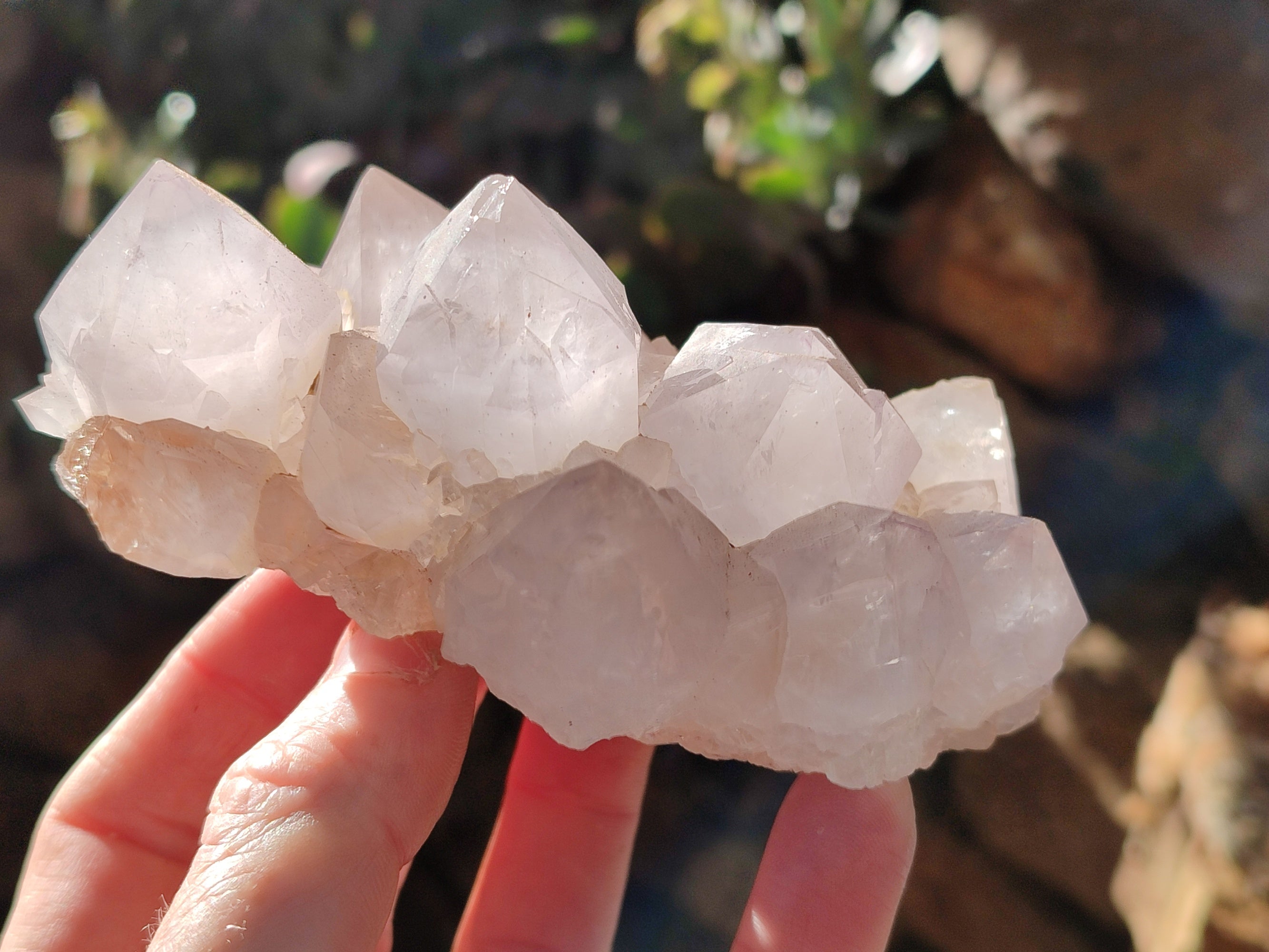 Natural Cactus Flower Amethyst Spirit Clusters x 4 From South Africa - Toprock Gemstones and Minerals 