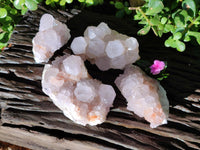 Natural Cactus Flower Amethyst Spirit Clusters x 4 From South Africa
