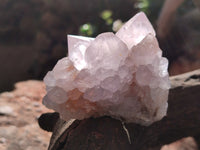 Natural Cactus Flower Amethyst Spirit Clusters x 4 From South Africa