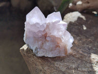 Natural Cactus Flower Amethyst Spirit Clusters x 4 From South Africa