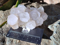 Natural Cactus Flower Amethyst Spirit Clusters x 4 From South Africa