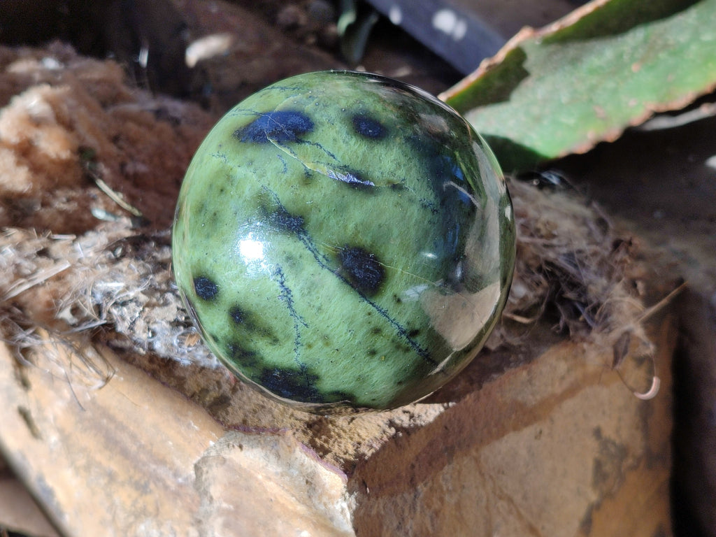 Polished Leopard Stone Spheres x 4 From Nyanga, Zimbabwe - Toprock Gemstones and Minerals 