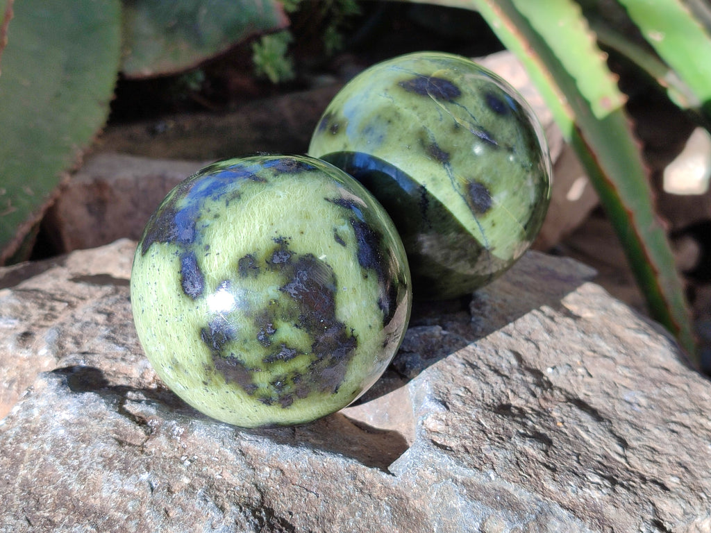 Polished Leopard Stone Spheres x 4 From Nyanga, Zimbabwe - Toprock Gemstones and Minerals 