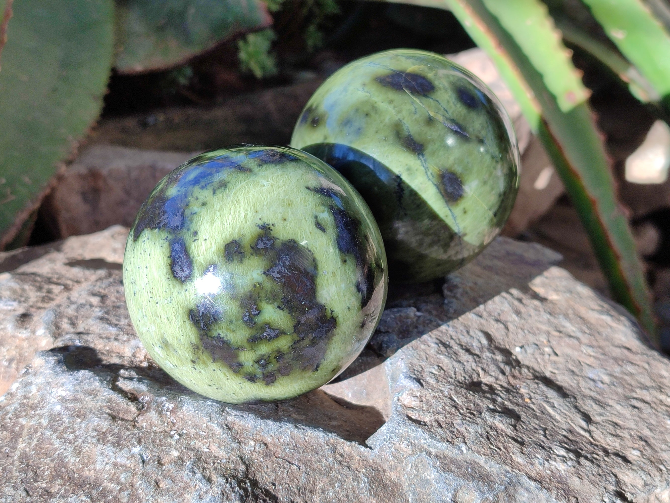 Polished Leopard Stone Spheres x 4 From Nyanga, Zimbabwe - Toprock Gemstones and Minerals 