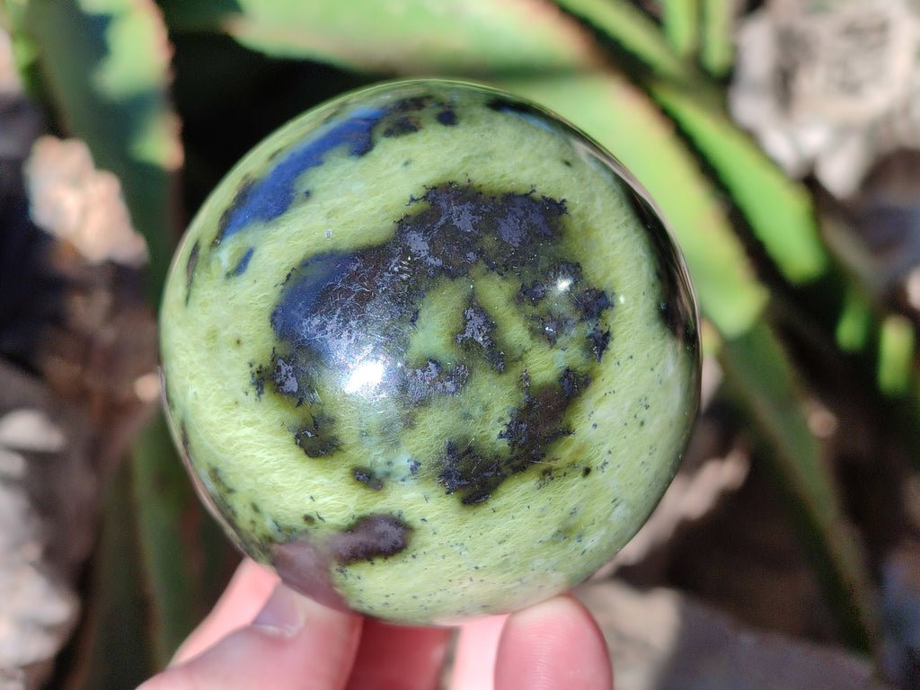Polished Leopard Stone Spheres x 4 From Nyanga, Zimbabwe - Toprock Gemstones and Minerals 