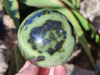Polished Leopard Stone Spheres x 4 From Nyanga, Zimbabwe - Toprock Gemstones and Minerals 
