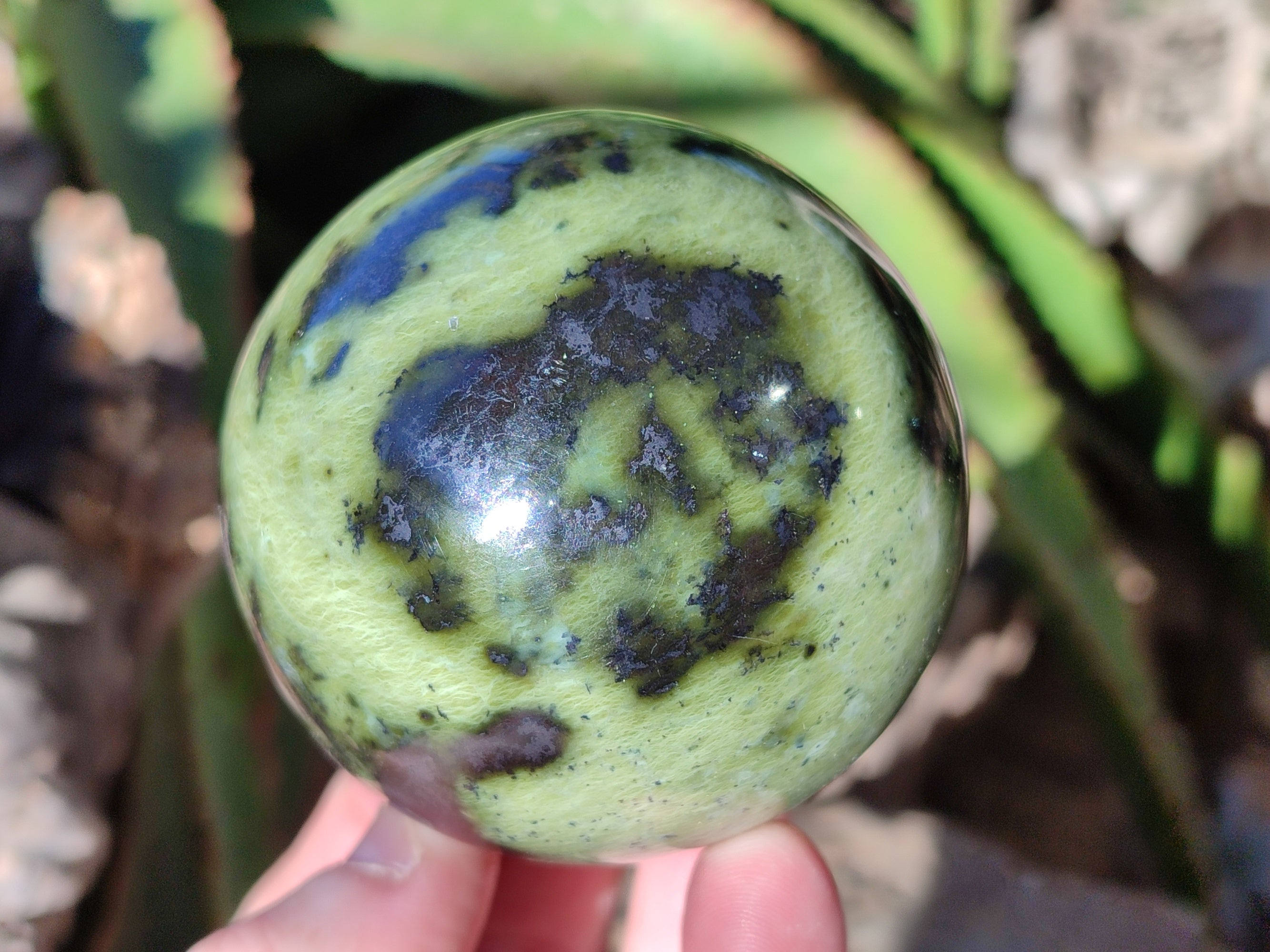 Polished Leopard Stone Spheres x 4 From Nyanga, Zimbabwe - Toprock Gemstones and Minerals 