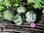 Polished Leopard Stone Spheres x 4 From Nyanga, Zimbabwe - Toprock Gemstones and Minerals 