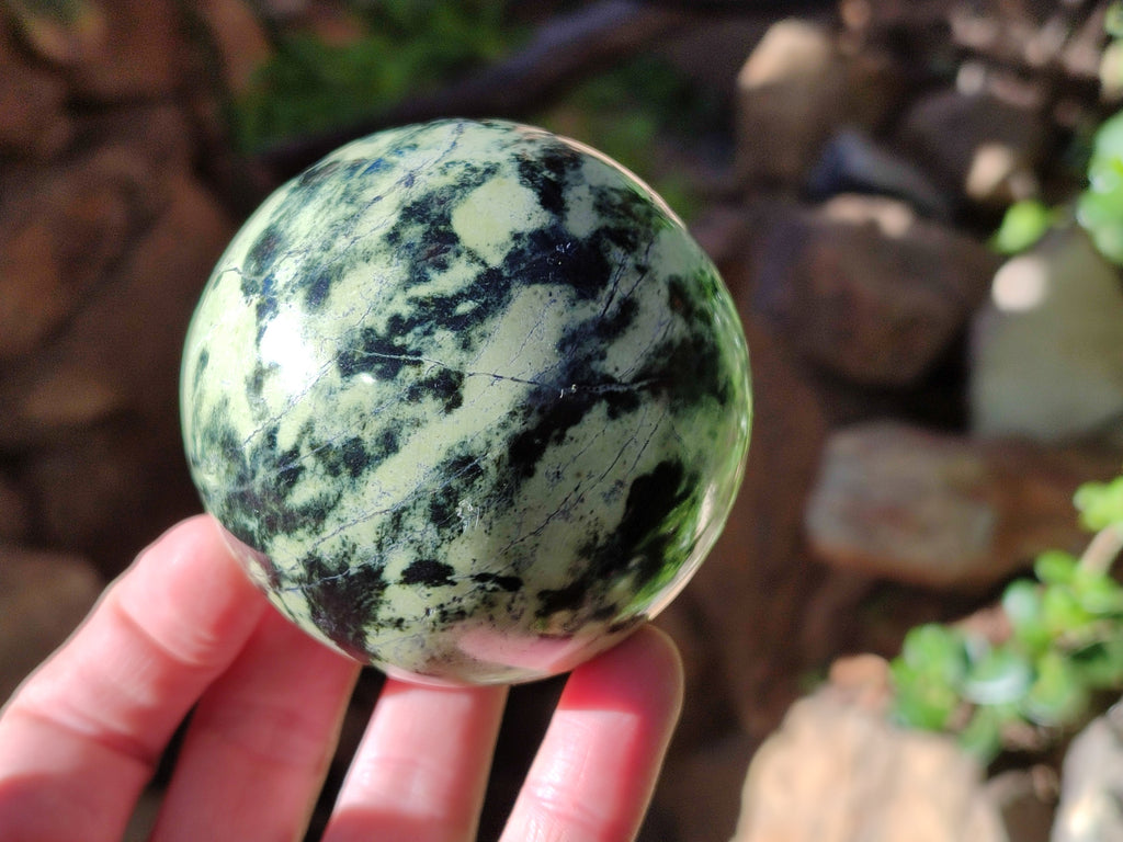 Polished Leopard Stone Spheres x 4 From Nyanga, Zimbabwe - Toprock Gemstones and Minerals 