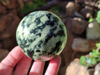Polished Leopard Stone Spheres x 4 From Nyanga, Zimbabwe - Toprock Gemstones and Minerals 