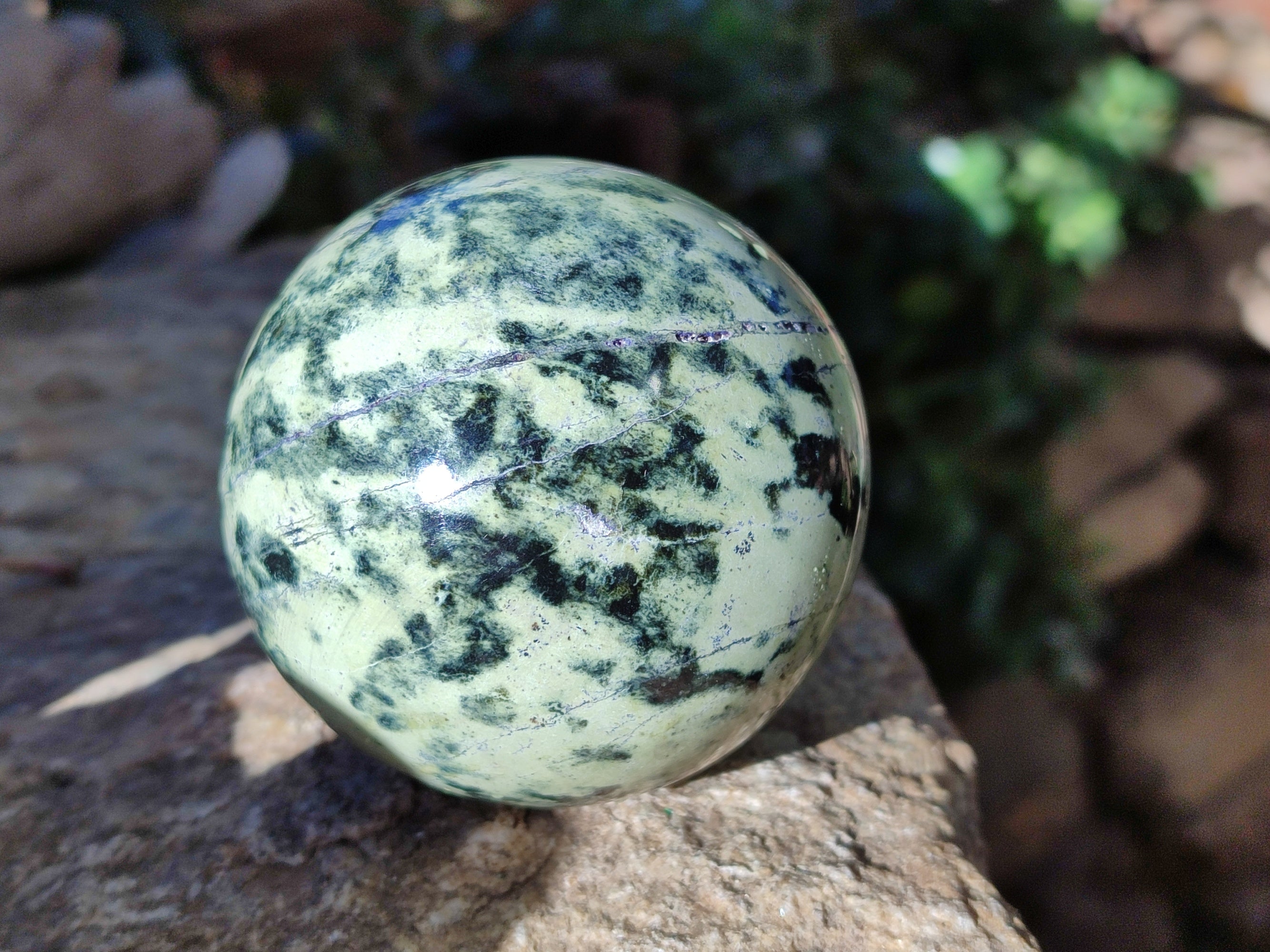 Polished Leopard Stone Spheres x 4 From Nyanga, Zimbabwe - Toprock Gemstones and Minerals 