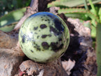 Polished Leopard Stone Spheres x 4 From Nyanga, Zimbabwe - Toprock Gemstones and Minerals 