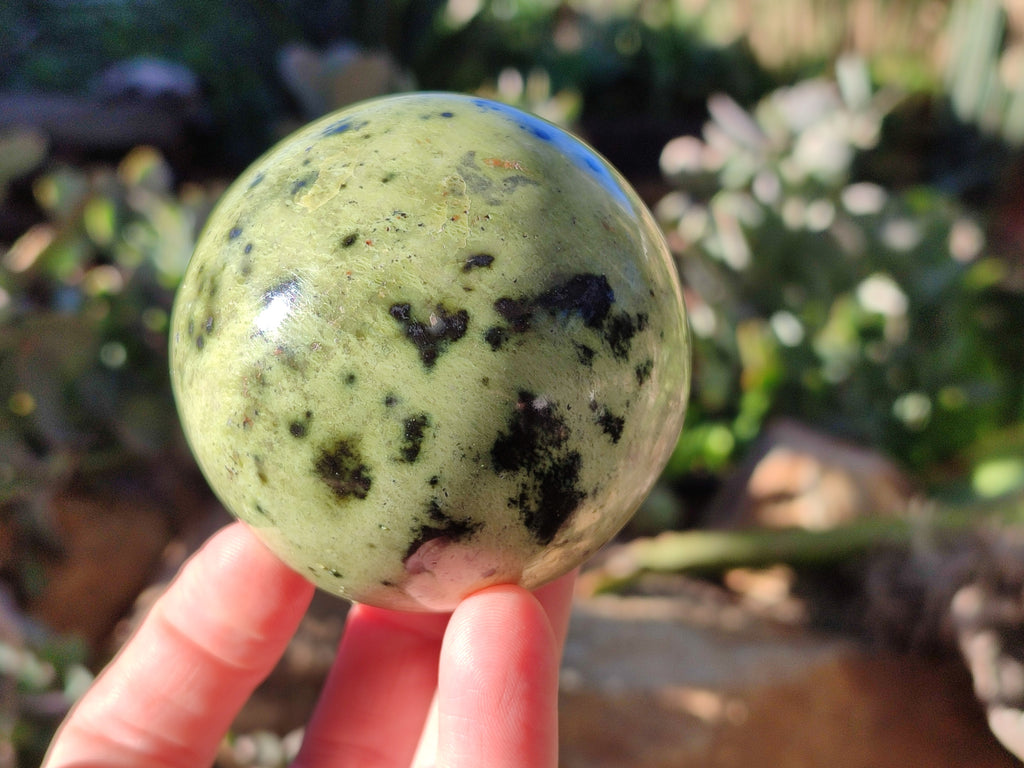 Polished Leopard Stone Spheres x 4 From Nyanga, Zimbabwe - Toprock Gemstones and Minerals 