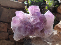 Natural Jacaranda Amethyst Quartz Cluster x 3 From Mumbwa, Zambia - Toprock Gemstones and Minerals 