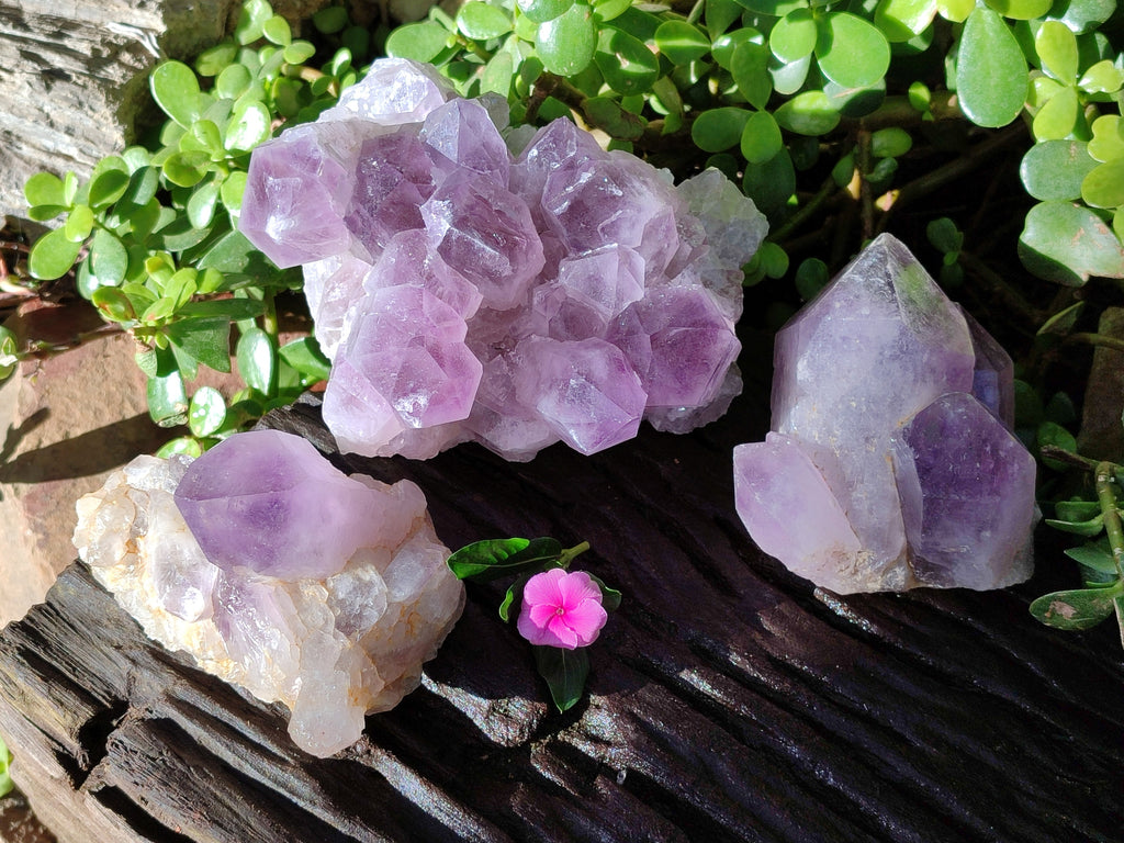 Natural Jacaranda Amethyst Quartz Cluster x 3 From Mumbwa, Zambia - Toprock Gemstones and Minerals 