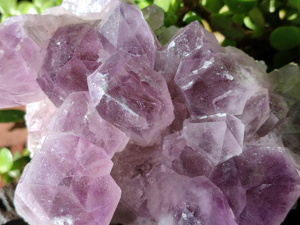 Natural Jacaranda Amethyst Quartz Cluster x 3 From Mumbwa, Zambia - Toprock Gemstones and Minerals 