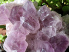 Natural Jacaranda Amethyst Quartz Cluster x 3 From Mumbwa, Zambia - Toprock Gemstones and Minerals 