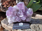 Natural Jacaranda Amethyst Quartz Cluster x 3 From Mumbwa, Zambia - Toprock Gemstones and Minerals 