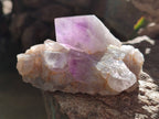 Natural Jacaranda Amethyst Quartz Cluster x 3 From Mumbwa, Zambia - Toprock Gemstones and Minerals 