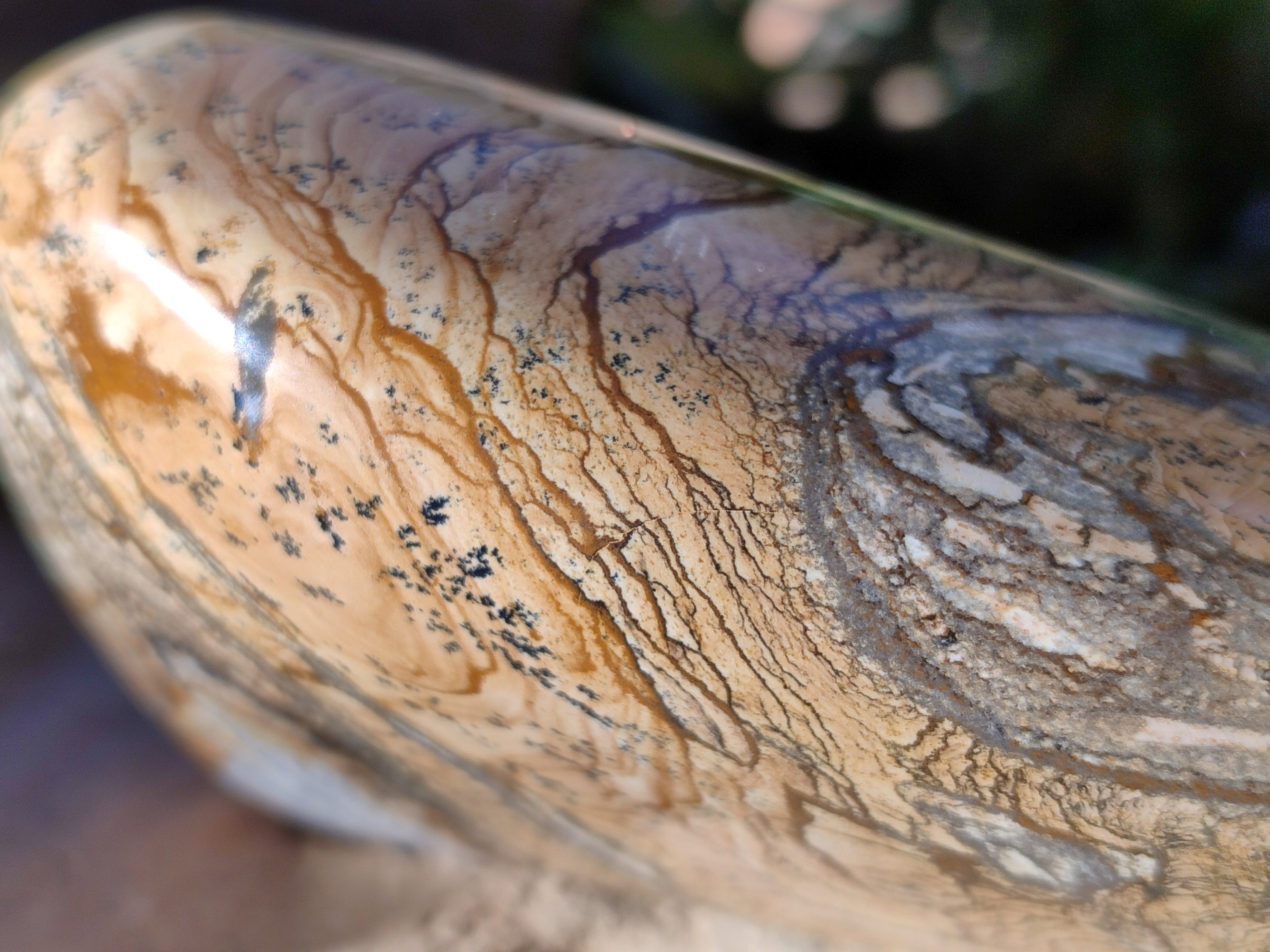 Polished Picture Stone Jasper Standing Free Forms x 2 From Ais-Ais, Namibia - Toprock Gemstones and Minerals 