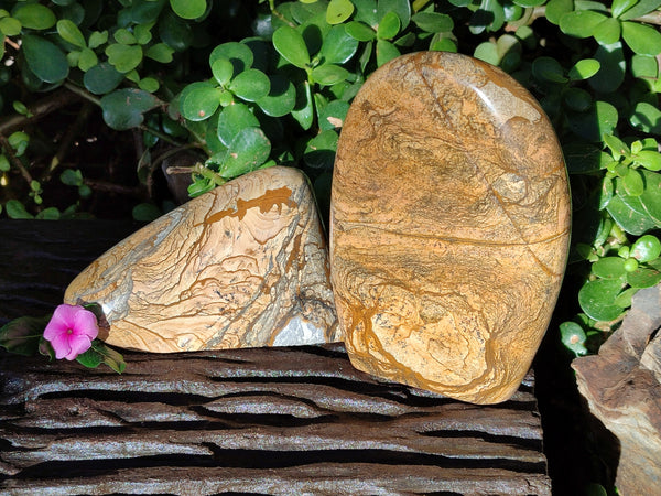Polished Picture Stone Jasper Standing Free Forms x 2 From Ais-Ais, Namibia