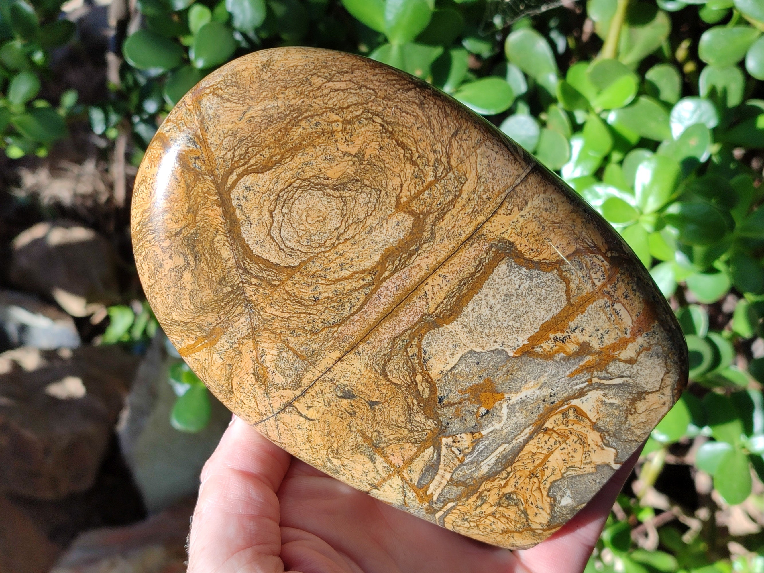Polished Picture Stone Jasper Standing Free Forms x 2 From Ais-Ais, Namibia - Toprock Gemstones and Minerals 