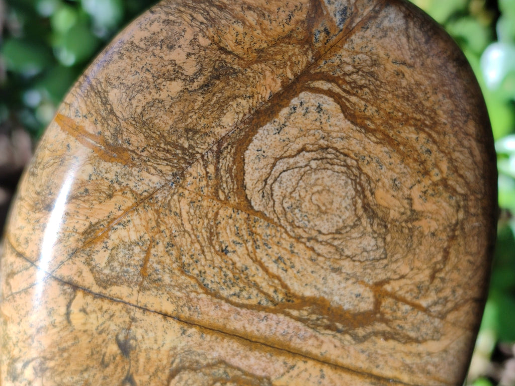 Polished Picture Stone Jasper Standing Free Forms x 2 From Ais-Ais, Namibia - Toprock Gemstones and Minerals 