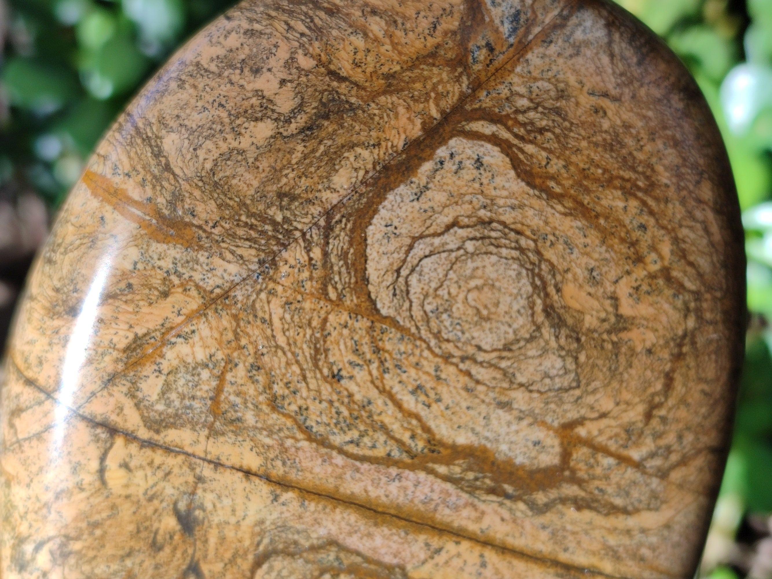 Polished Picture Stone Jasper Standing Free Forms x 2 From Ais-Ais, Namibia - Toprock Gemstones and Minerals 