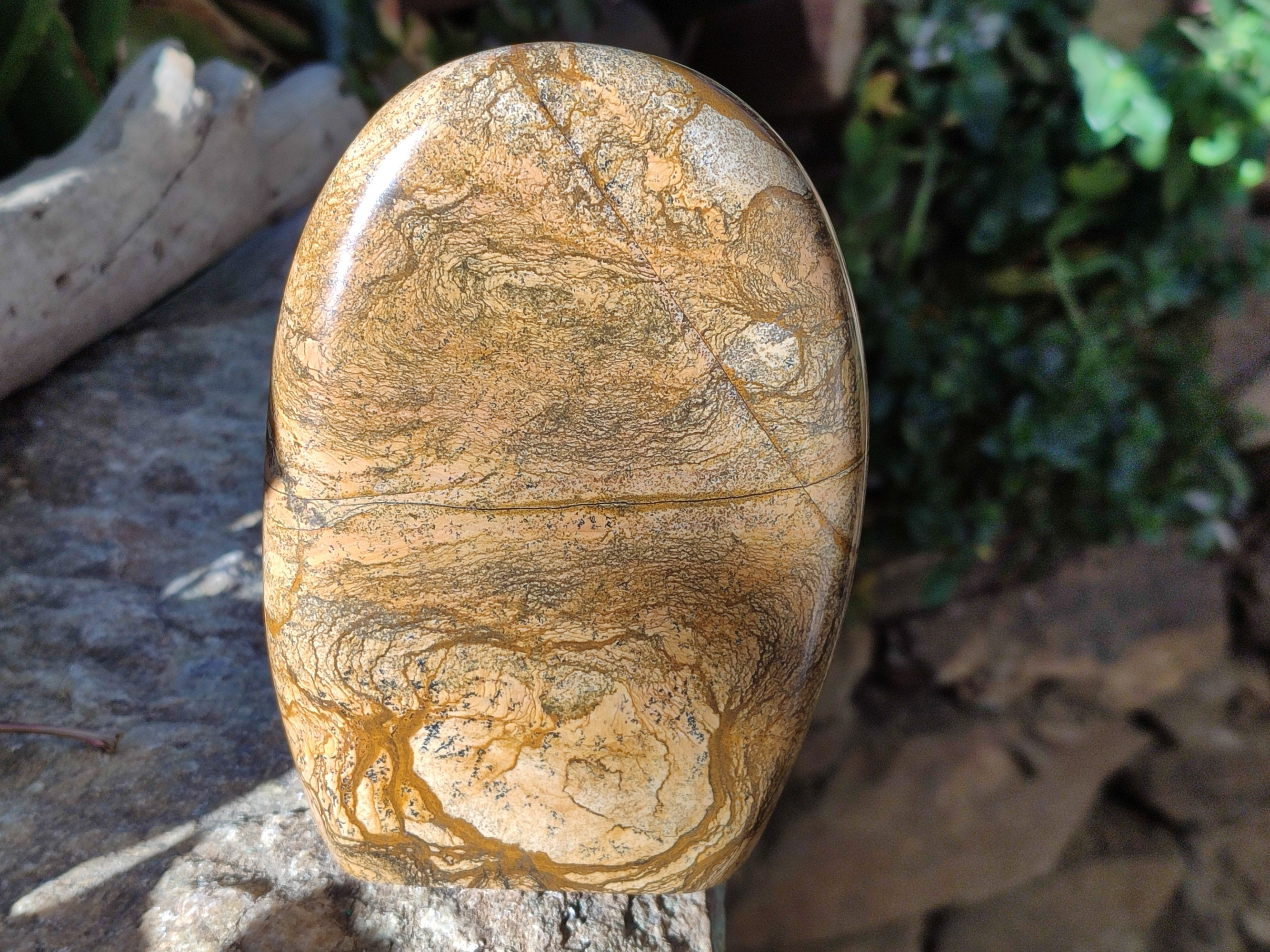 Polished Picture Stone Jasper Standing Free Forms x 2 From Ais-Ais, Namibia - Toprock Gemstones and Minerals 