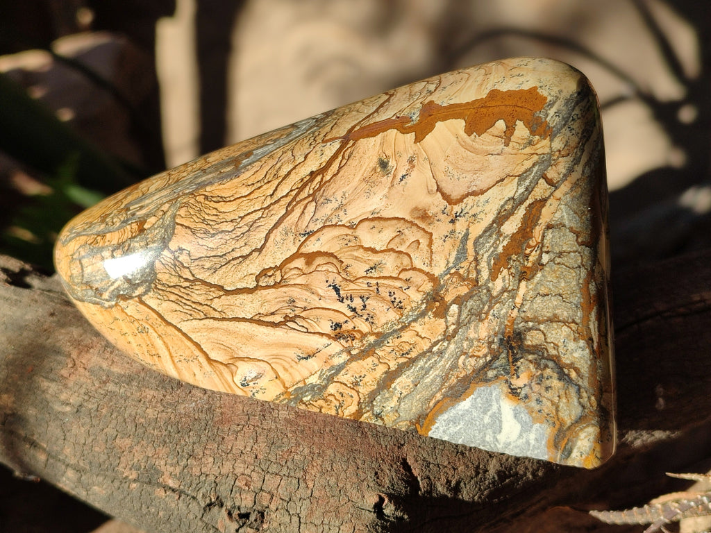Polished Picture Stone Jasper Standing Free Forms x 2 From Ais-Ais, Namibia - Toprock Gemstones and Minerals 