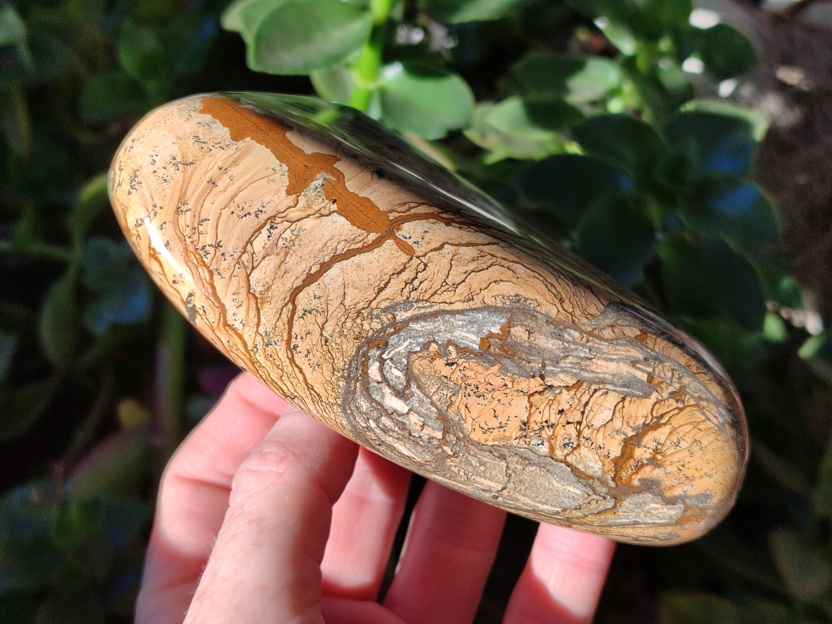 Polished Picture Stone Jasper Standing Free Forms x 2 From Ais-Ais, Namibia - Toprock Gemstones and Minerals 