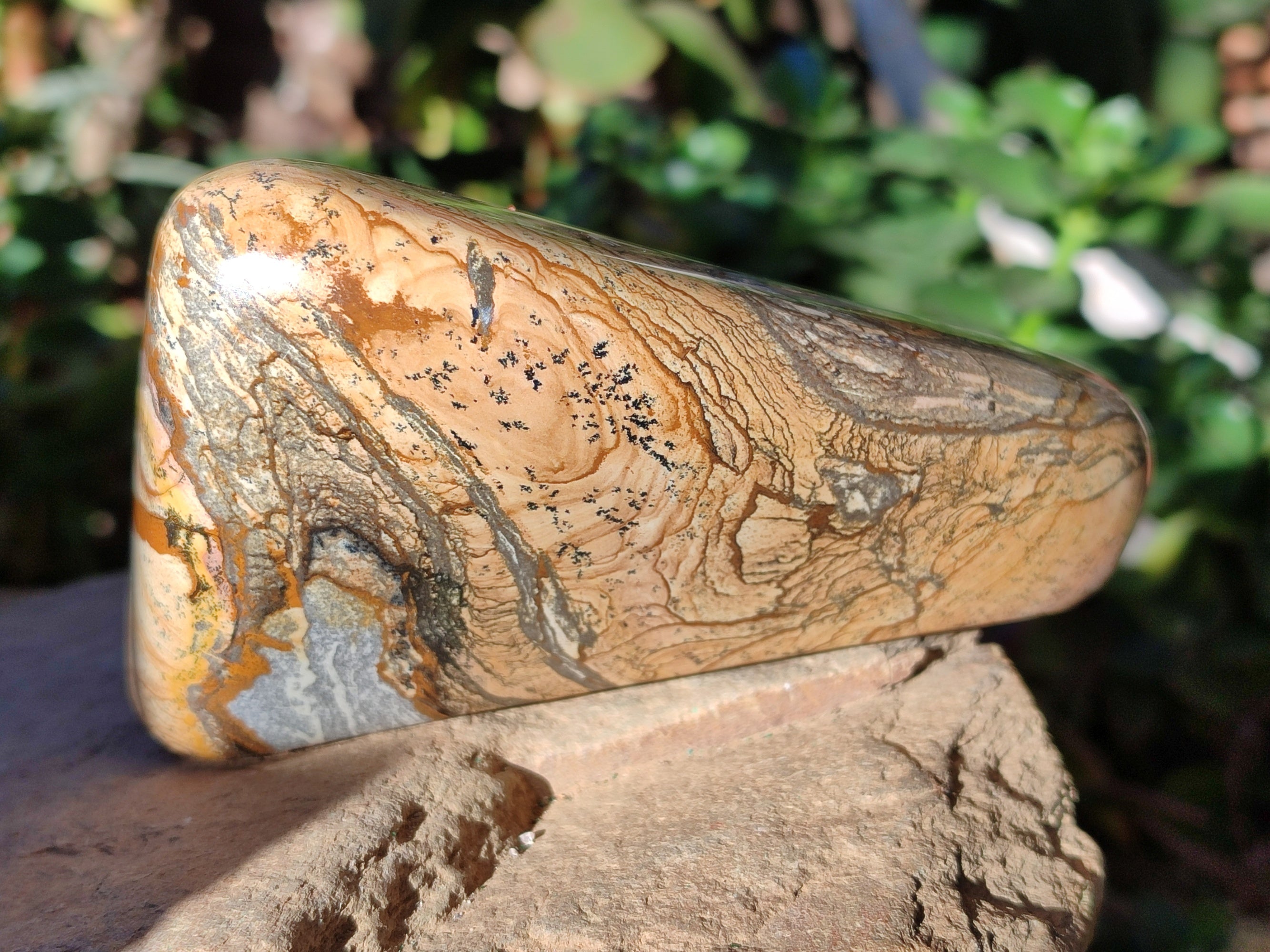 Polished Picture Stone Jasper Standing Free Forms x 2 From Ais-Ais, Namibia - Toprock Gemstones and Minerals 