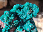 Natural Dioptase On Dolomite Specimens x 2 From Likasi, Congo - Toprock Gemstones and Minerals 