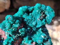 Natural Dioptase On Dolomite Specimens x 2 From Likasi, Congo - Toprock Gemstones and Minerals 